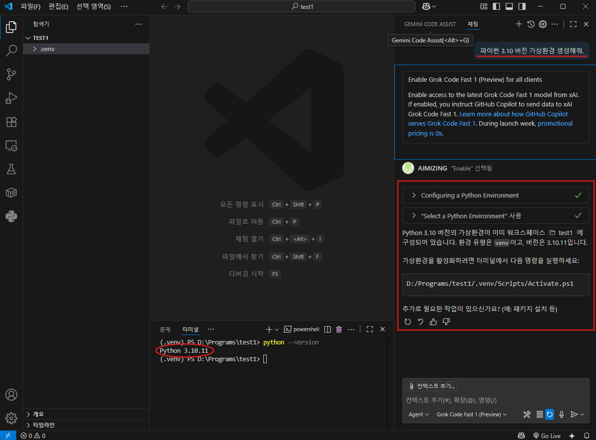 VSC-Grok Code Fast 2