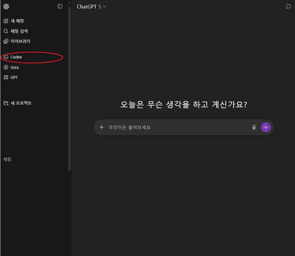 Codex 웹 플랫폼1