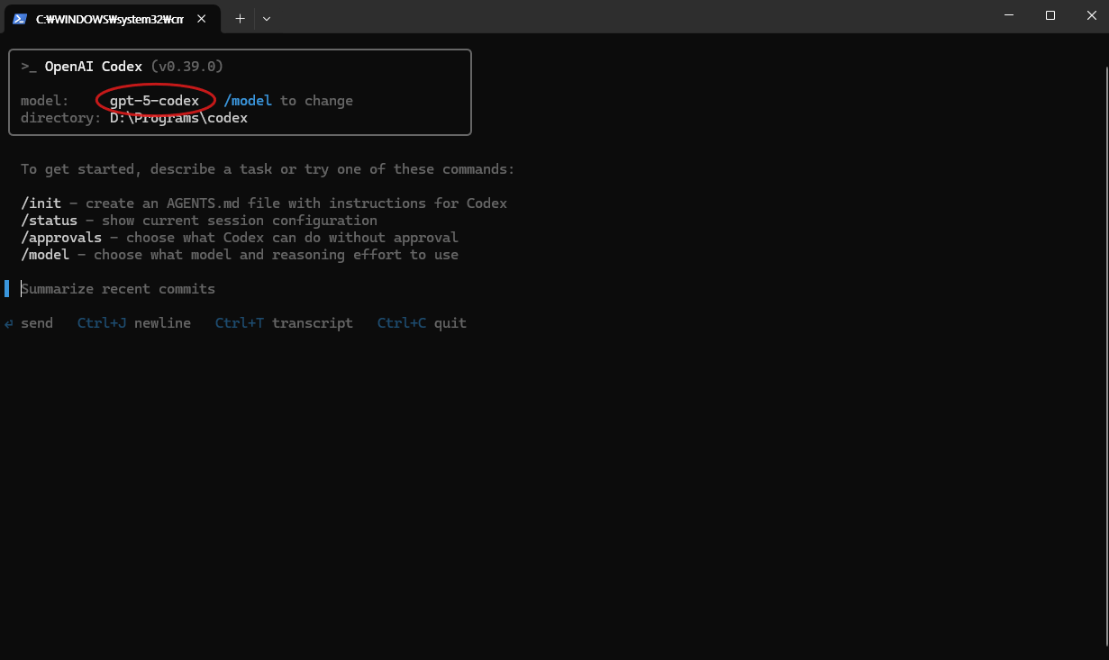 Codex cli2